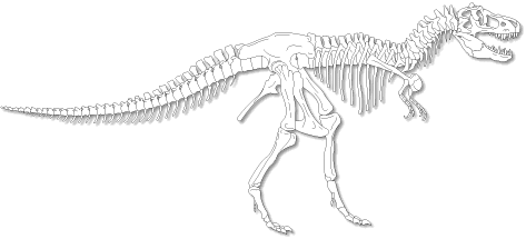 Skeletal Anatomy of a Tyrannosaurid